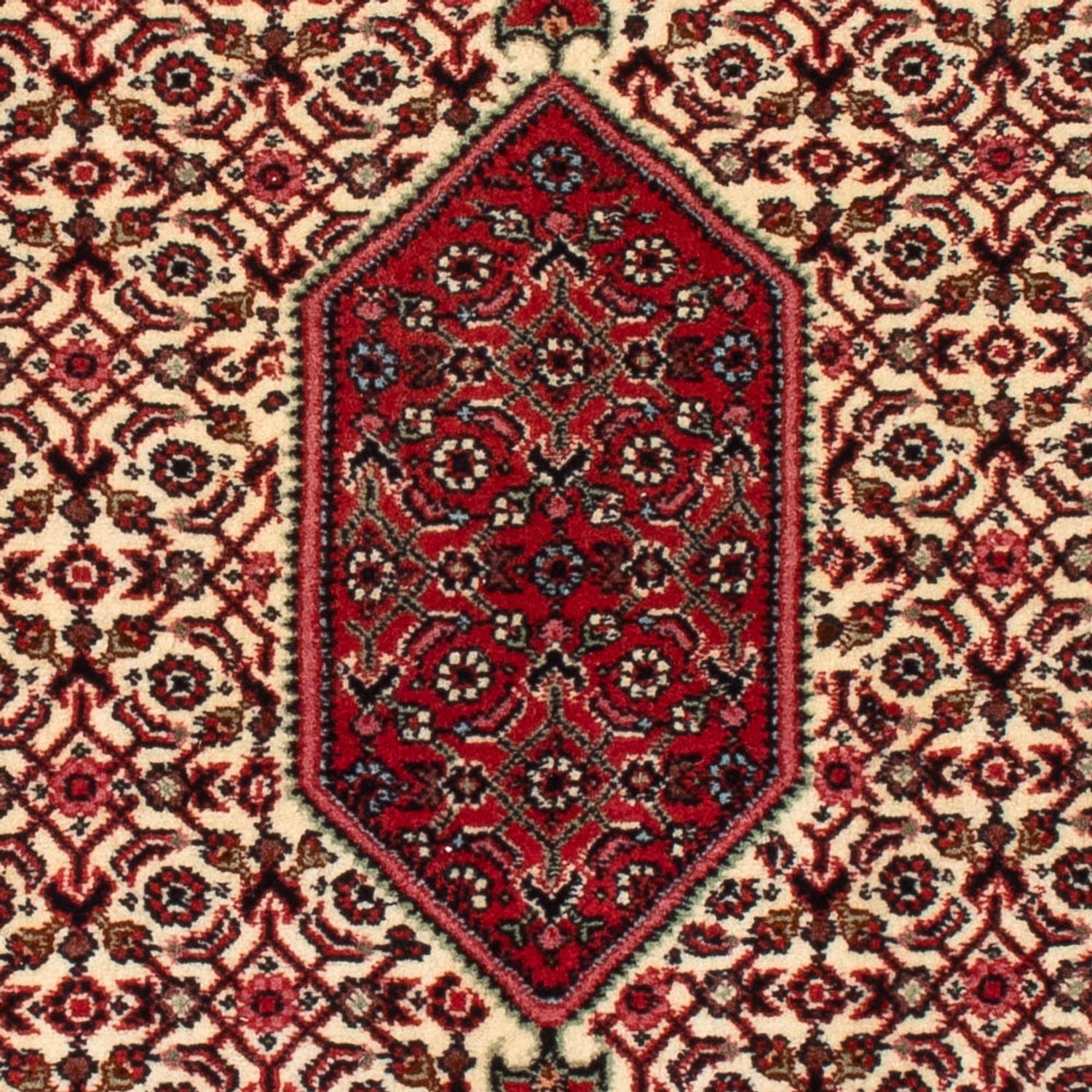 Perserteppich - Bidjar - Royal - 90 x 77 cm - creme