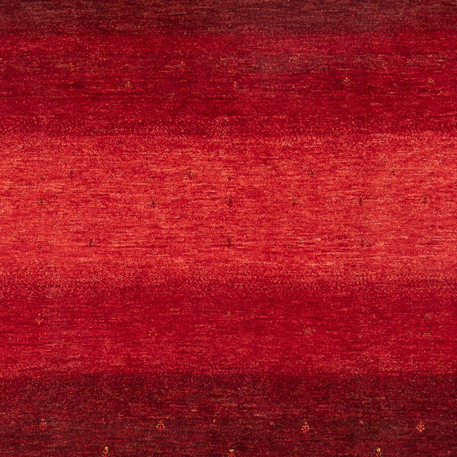 Gabbeh Teppich - Loribaft Perser - 304 x 217 cm - rot