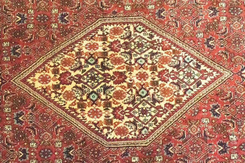 Perserteppich - Bidjar 257 x 176 cm