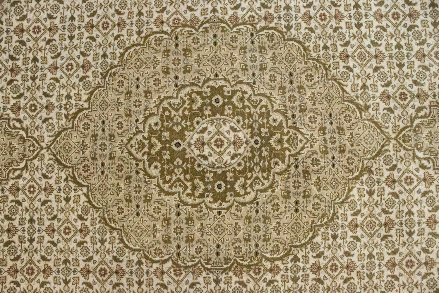 Orientteppich - Bidjar - Indus 295 x 203 cm - beige