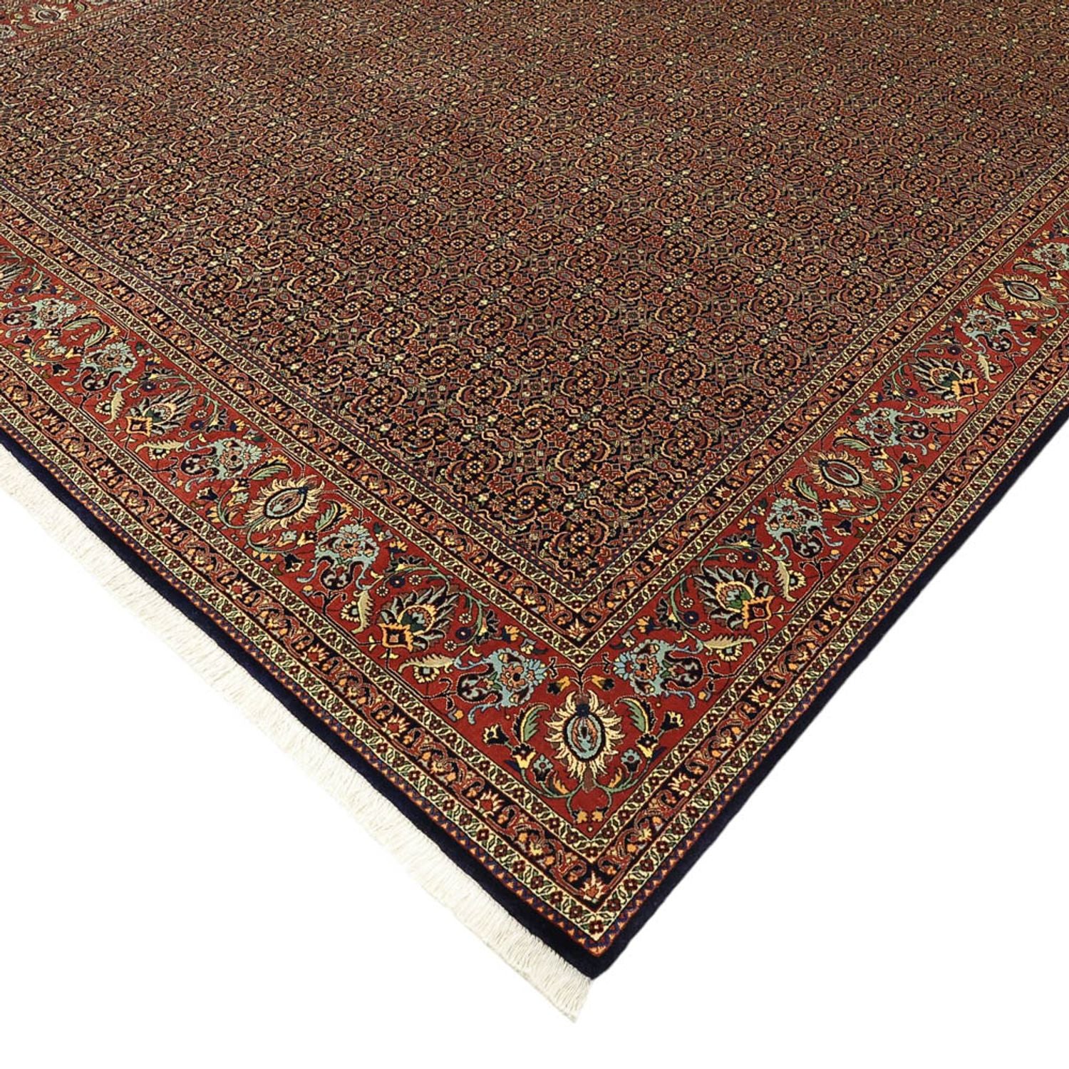 Perserteppich - Bidjar - Royal - 342 x 252 cm - terrakotta