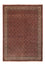 Perserteppich - Bidjar - Royal - 350 x 256 cm - dunkelrot