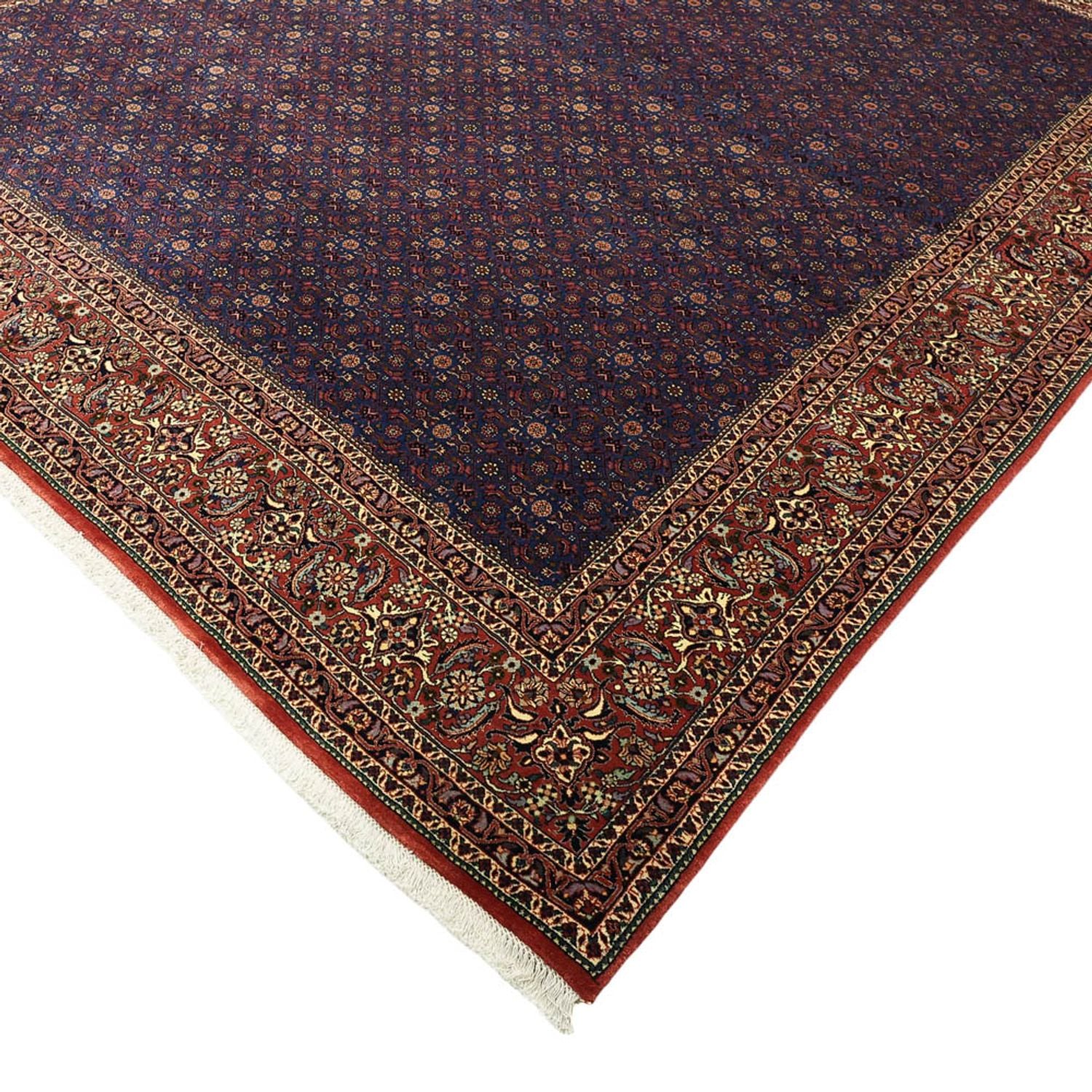 Perserteppich - Bidjar - Royal - 286 x 255 cm - dunkelblau