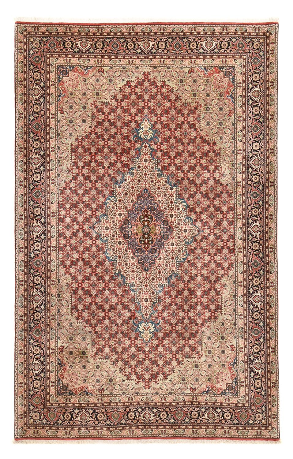 Perserteppich - Bidjar - 327 x 209 cm - rost