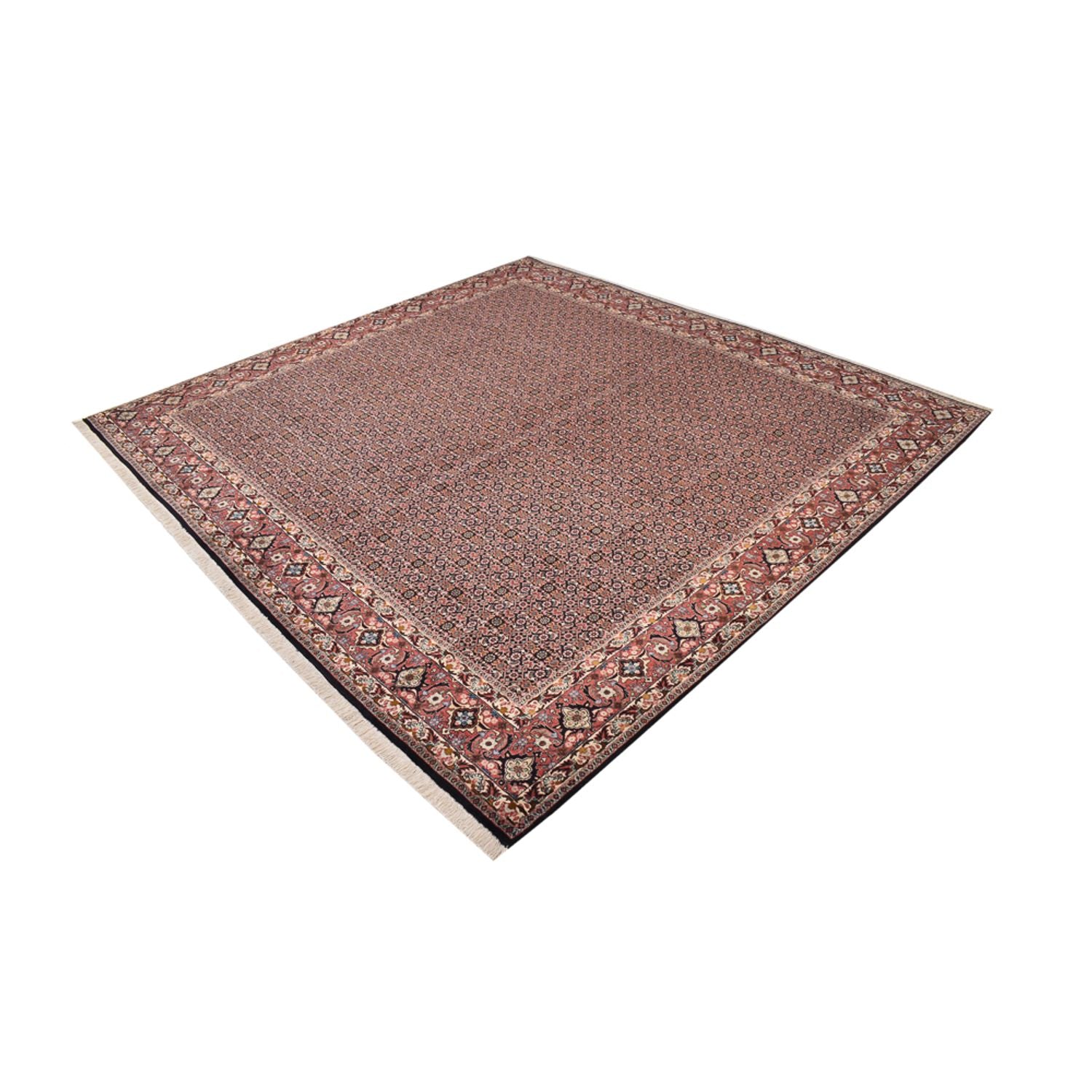 Perserteppich - Bidjar quadratisch  - 303 x 293 cm - rost