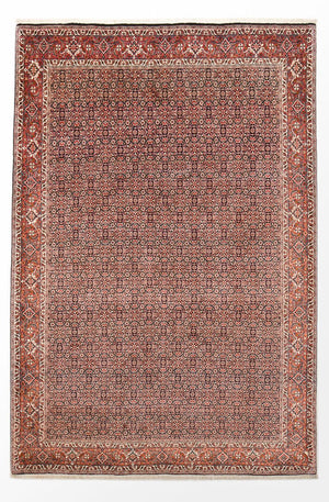 Perserteppich - Bidjar - 305 x 203 cm - rost
