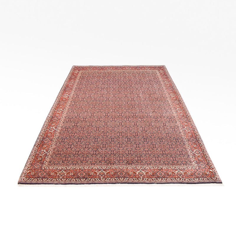 Perserteppich - Bidjar - 305 x 203 cm - rost