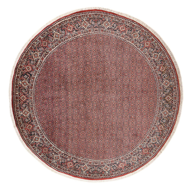Perserteppich - Bidjar rund  - 300 x 300 cm - rost