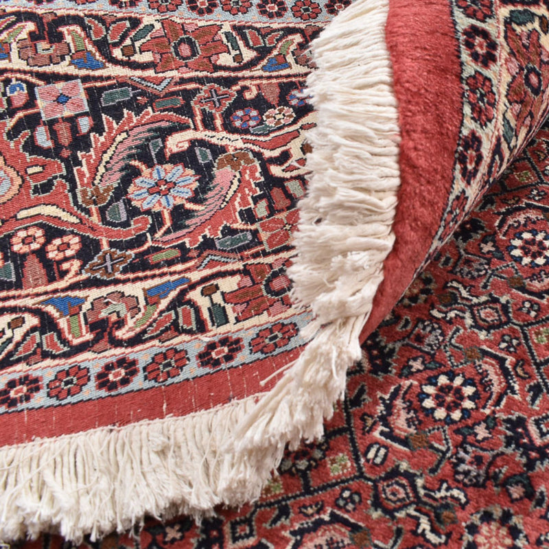 Perserteppich - Bidjar rund  - 300 x 300 cm - rost