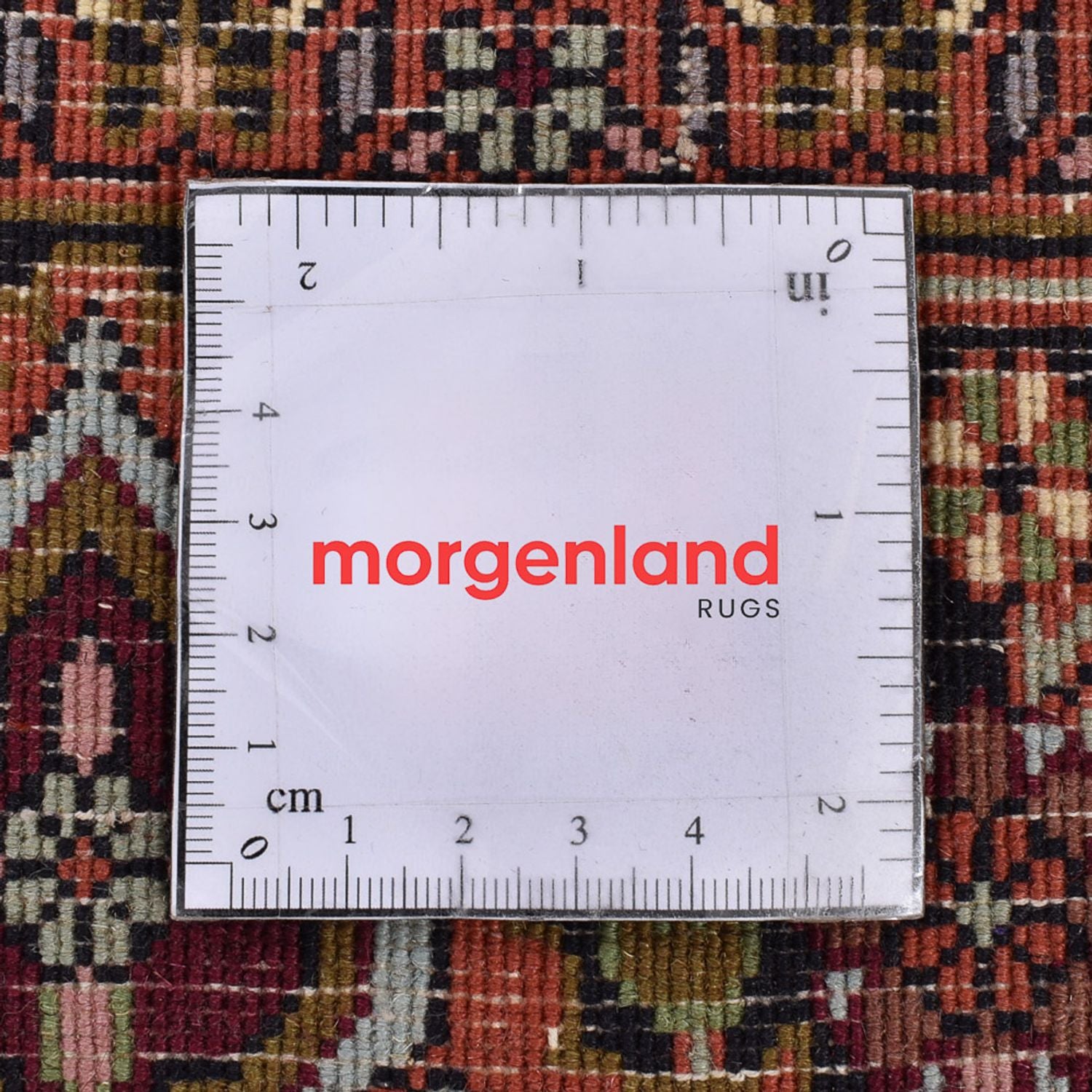 Perserteppich - Bidjar - 251 x 150 cm - rost