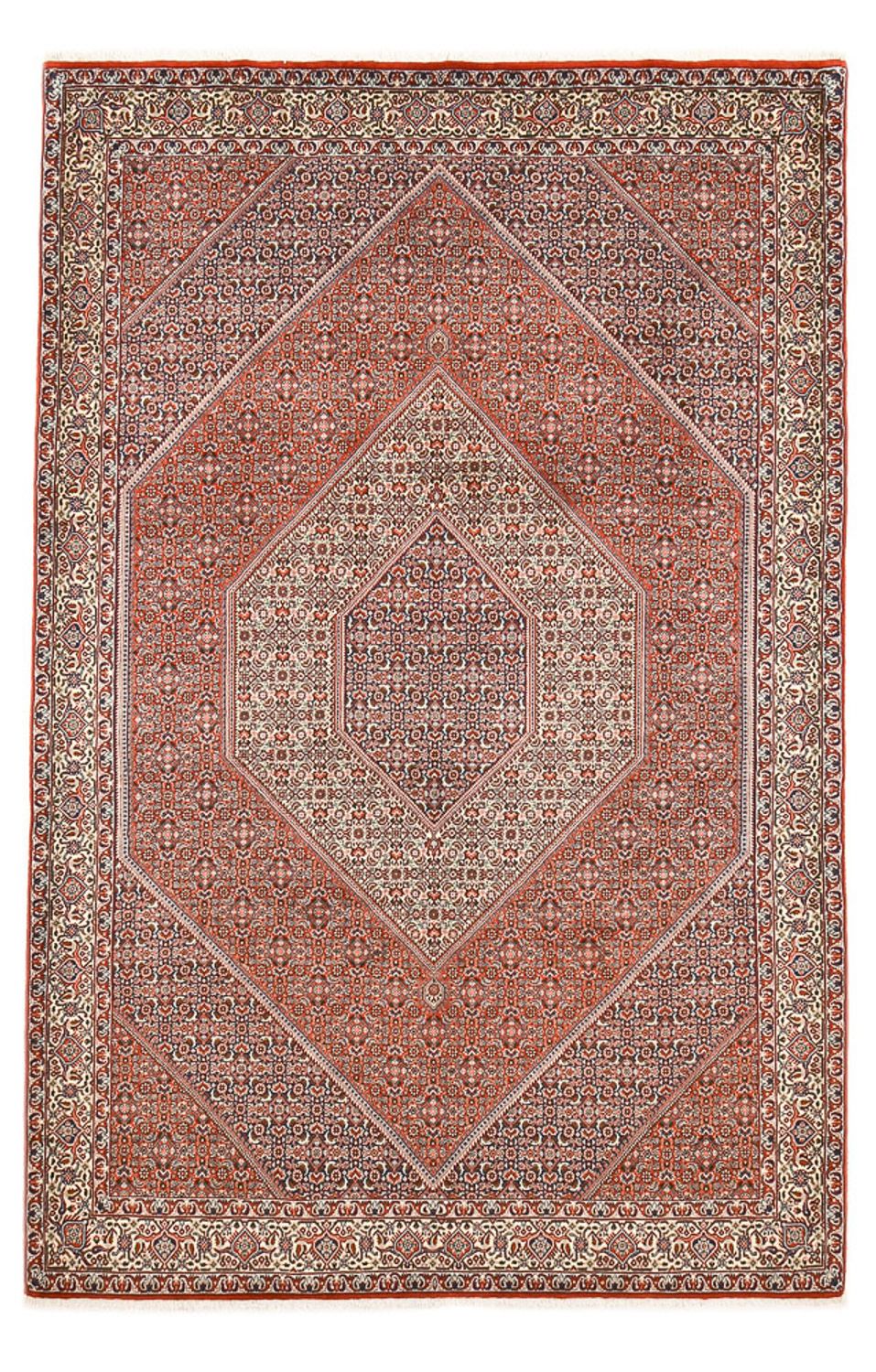 Perserteppich - Bidjar - 295 x 196 cm - rost