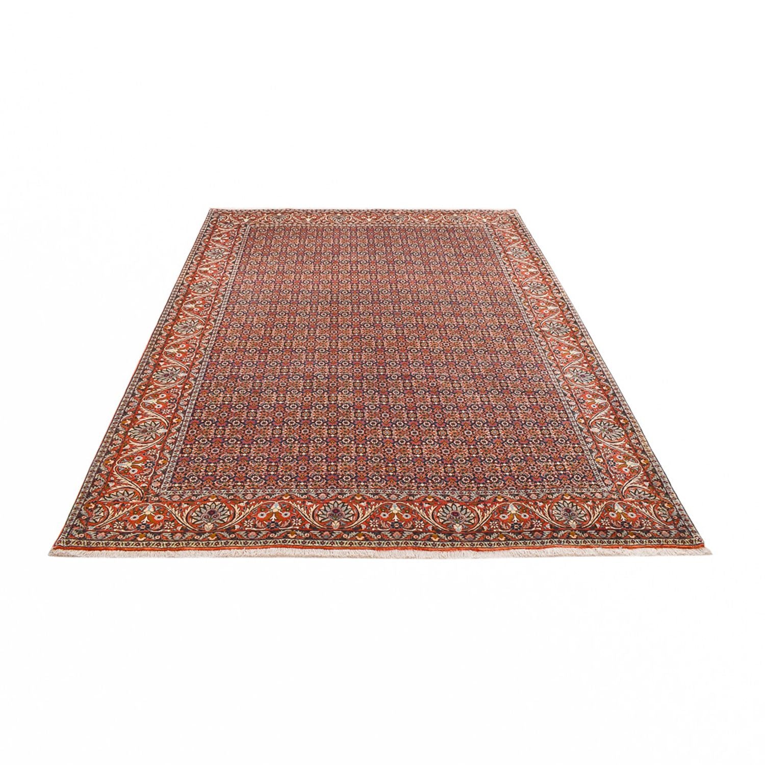 Perserteppich - Bidjar - 290 x 210 cm - rost