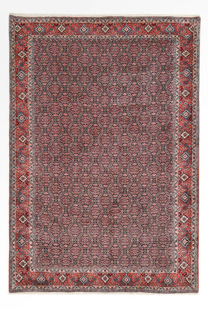 Perserteppich - Bidjar - 301 x 203 cm - rost
