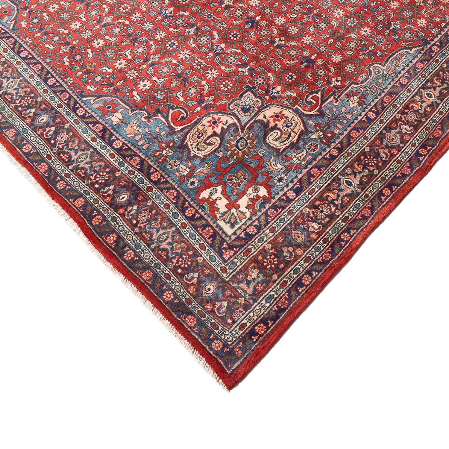 Perserteppich - Bidjar - 300 x 221 cm - hellrot