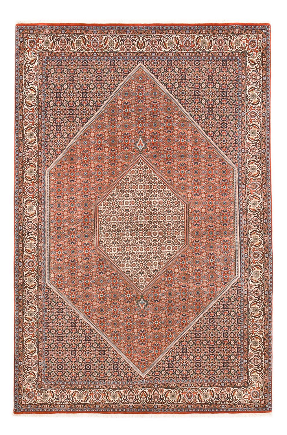 Perserteppich - Bidjar - 315 x 214 cm - rost