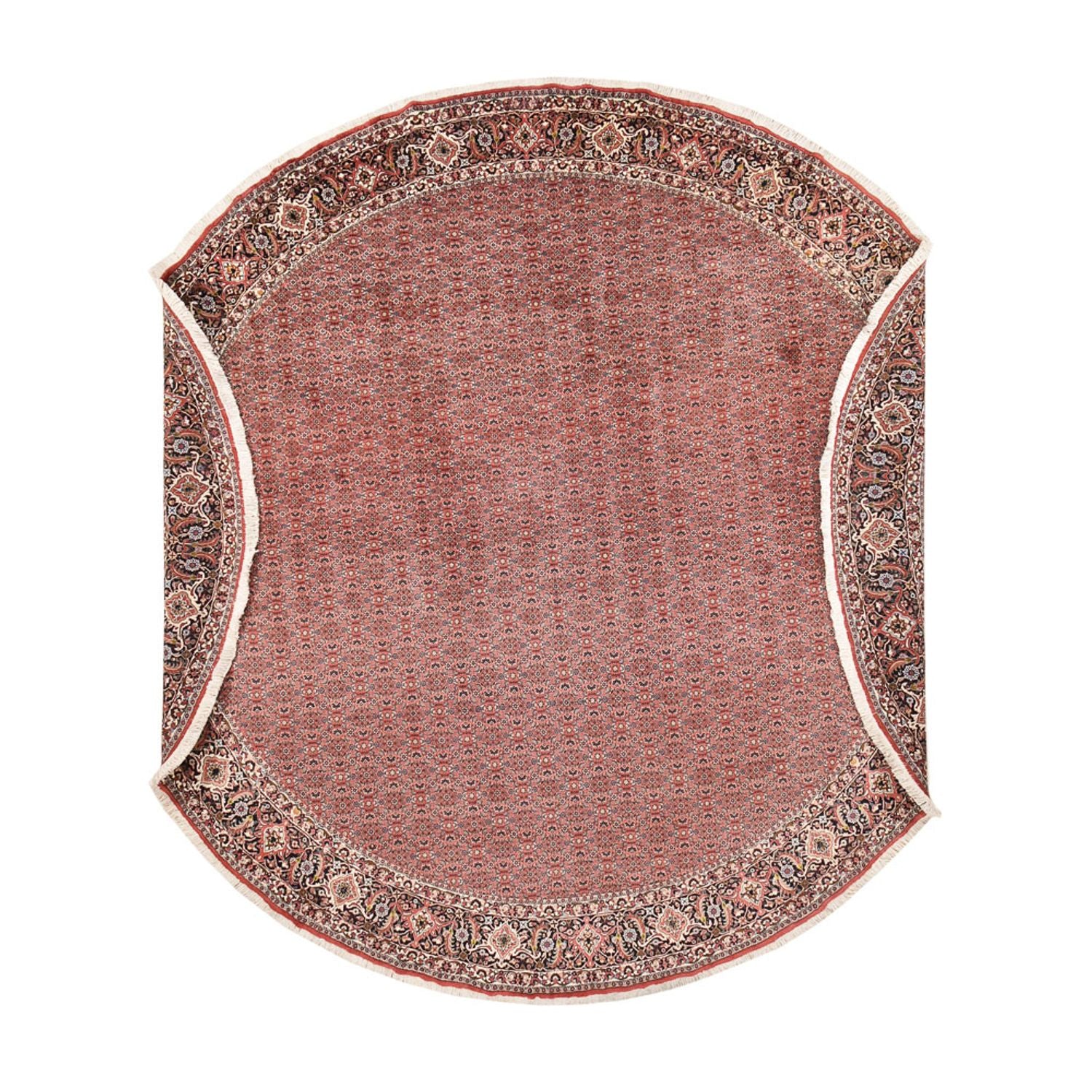 Perserteppich - Bidjar rund  - 400 x 400 cm - rost