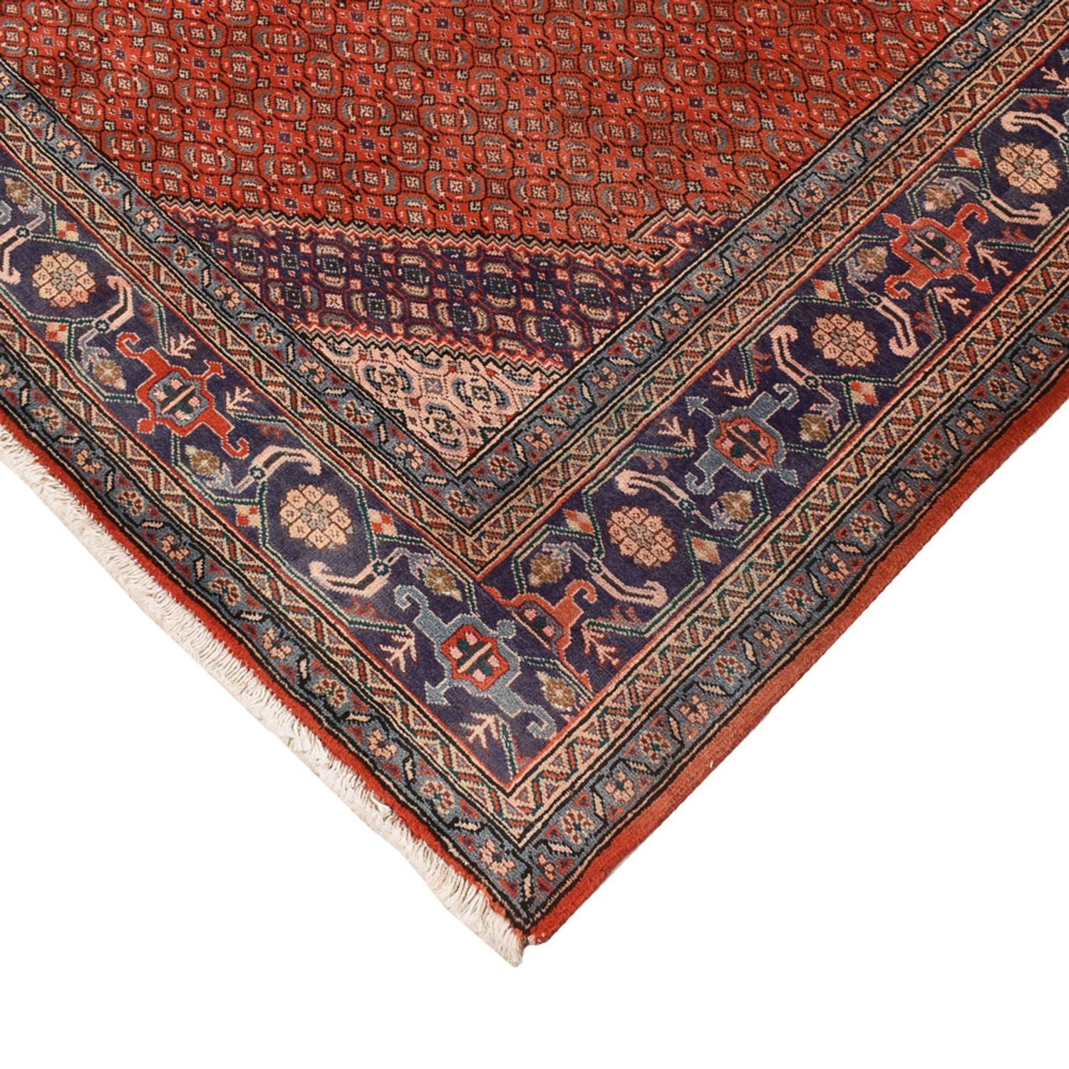 Perserteppich - Nomadic - 288 x 199 cm - orange