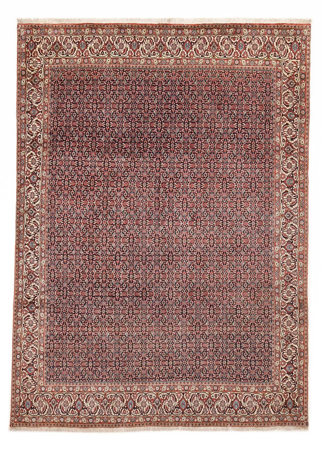 Perserteppich - Bidjar - 337 x 247 cm - rost