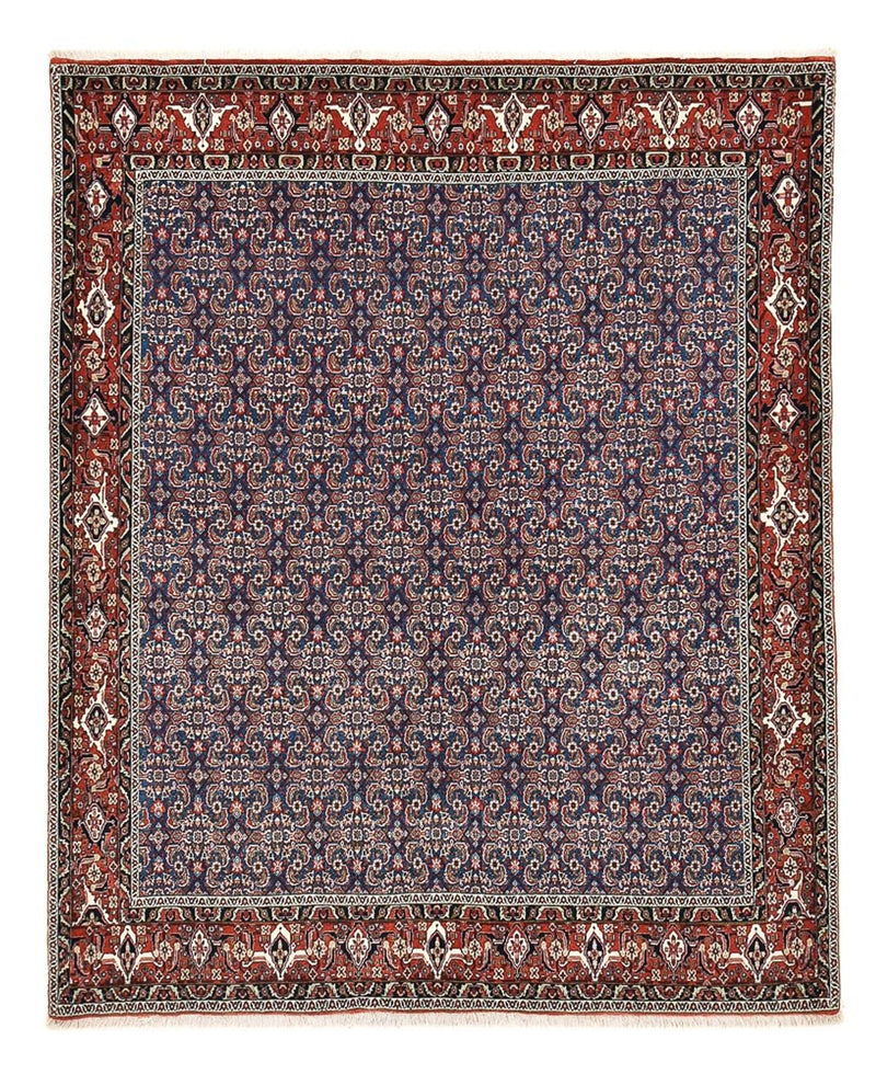 Perserteppich - Bidjar - 246 x 201 cm - lila