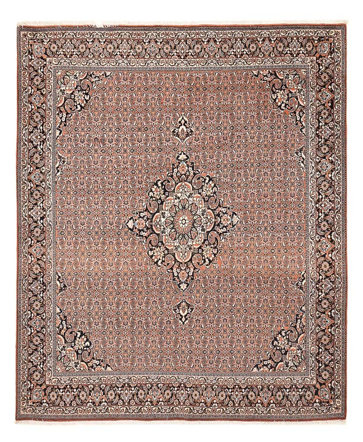 Perserteppich - Bidjar - 312 x 252 cm - rost