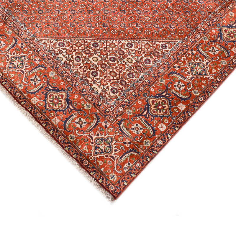 Perserteppich - Bidjar - 328 x 236 cm - rost