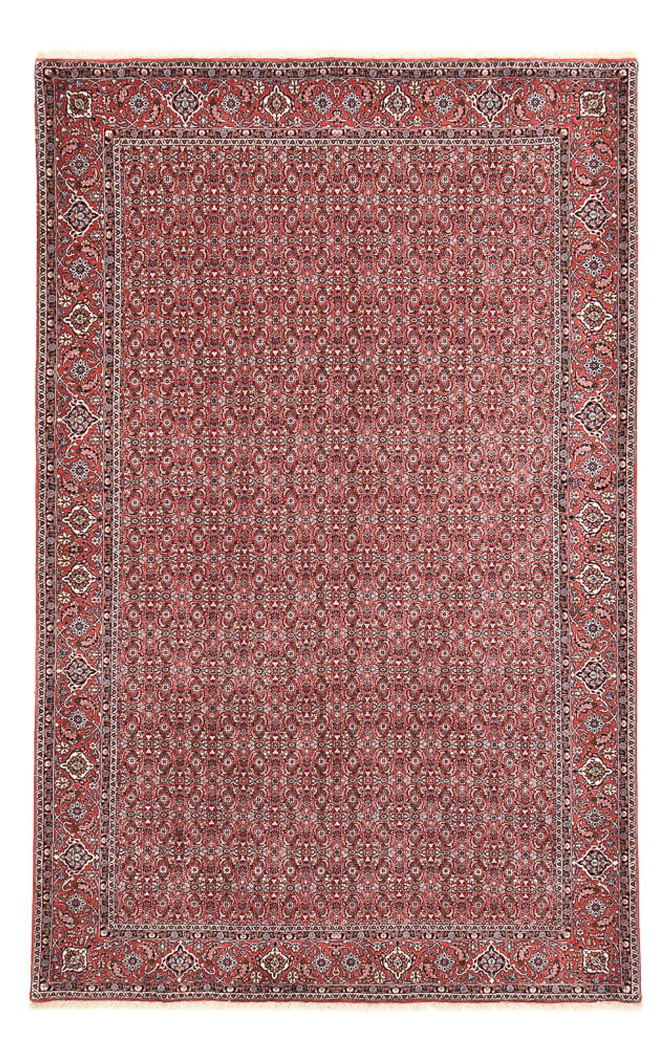 Perserteppich - Bidjar - 347 x 221 cm - rost