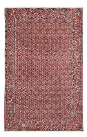 Perserteppich - Bidjar - 347 x 221 cm - rost