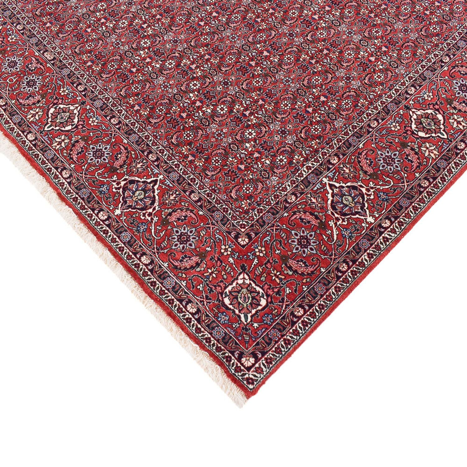 Perserteppich - Bidjar - 347 x 221 cm - rost