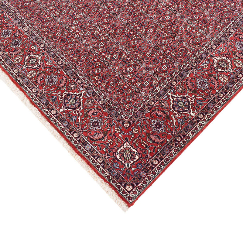 Perserteppich - Bidjar - 347 x 221 cm - rost