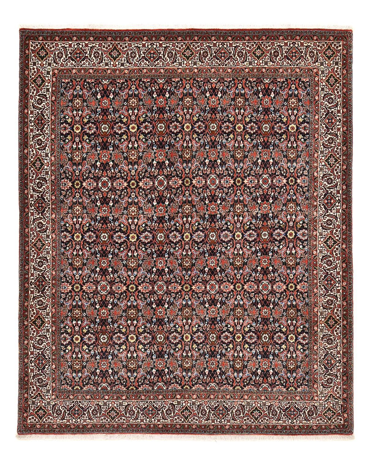 Perserteppich - Bidjar - 250 x 203 cm - rost
