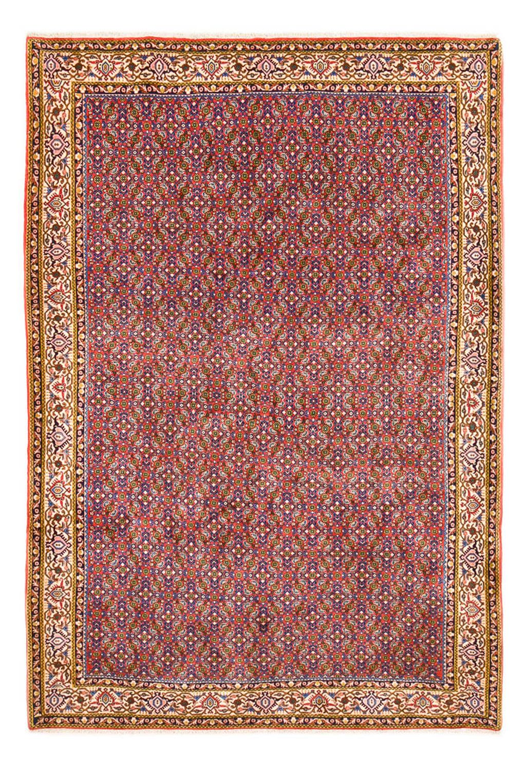 Perserteppich - Bidjar - 315 x 214 cm - rost