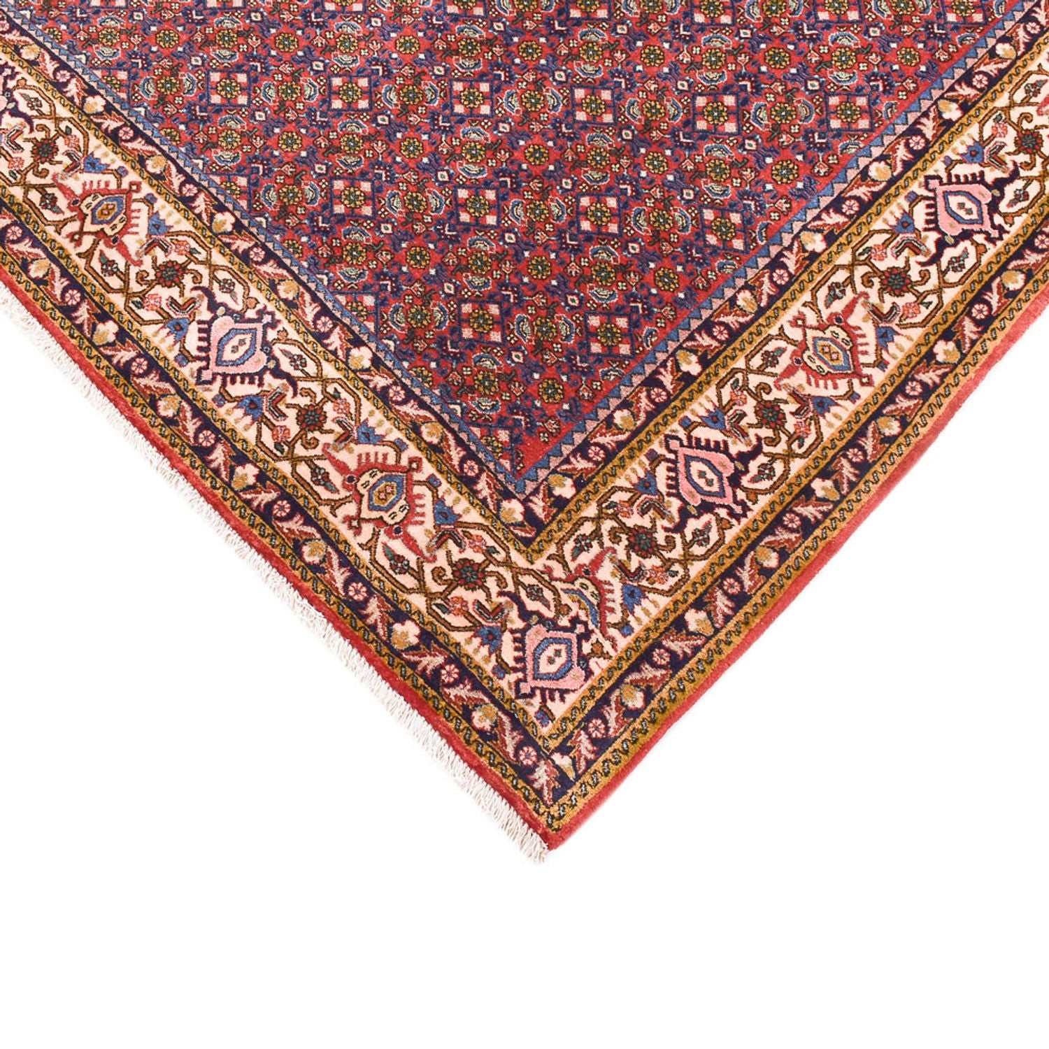Perserteppich - Bidjar - 315 x 214 cm - rost