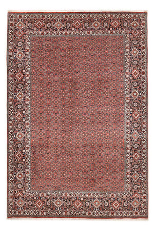 Perserteppich - Bidjar - 300 x 203 cm - rost