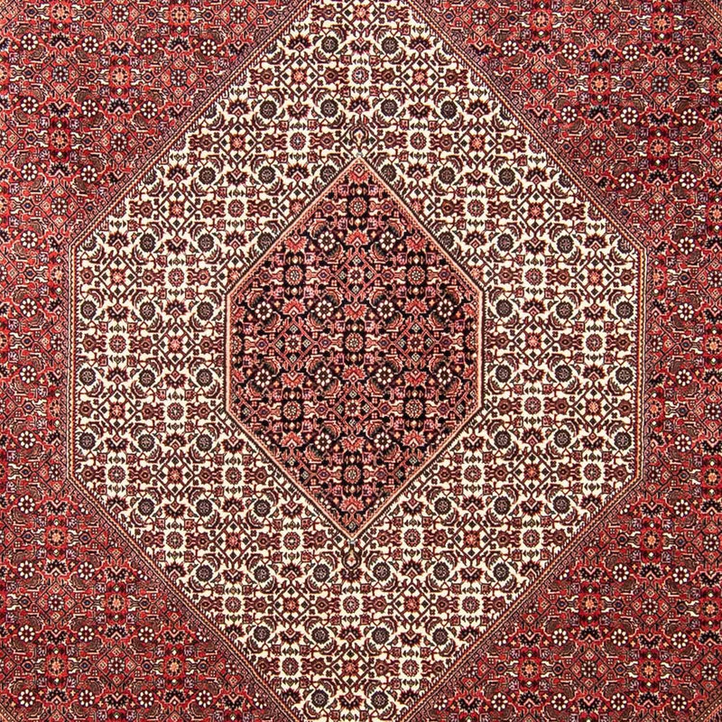 Perserteppich - Bidjar 309 x 256 cm