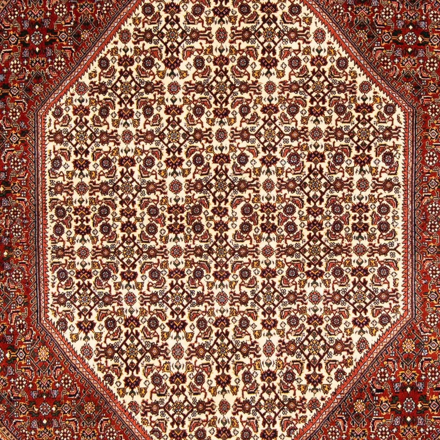 Perserteppich - Bidjar 231 x 163 cm
