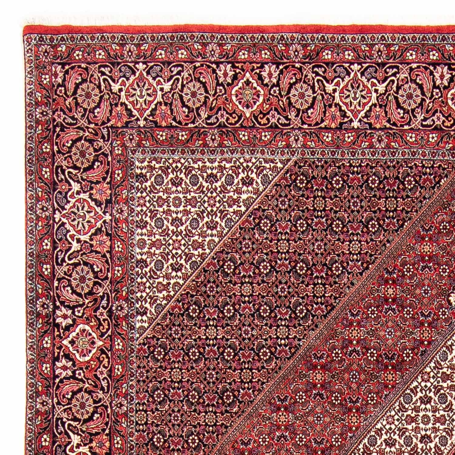 Perserteppich - Bidjar 304 x 250 cm