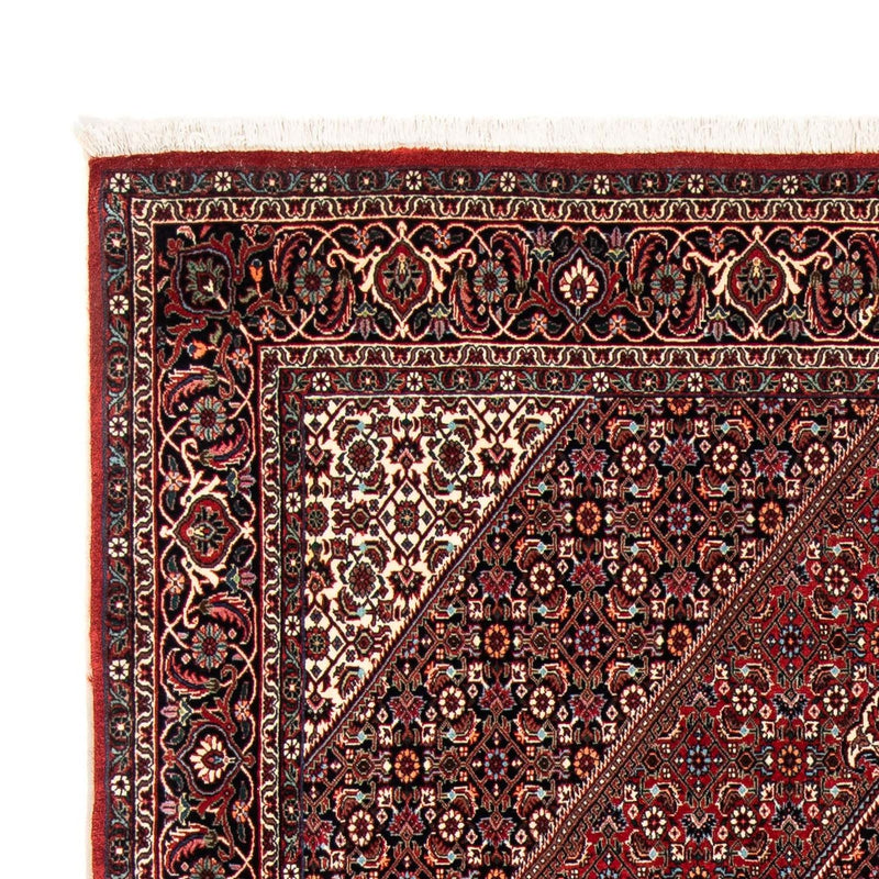 Perserteppich - Bidjar 252 x 172 cm