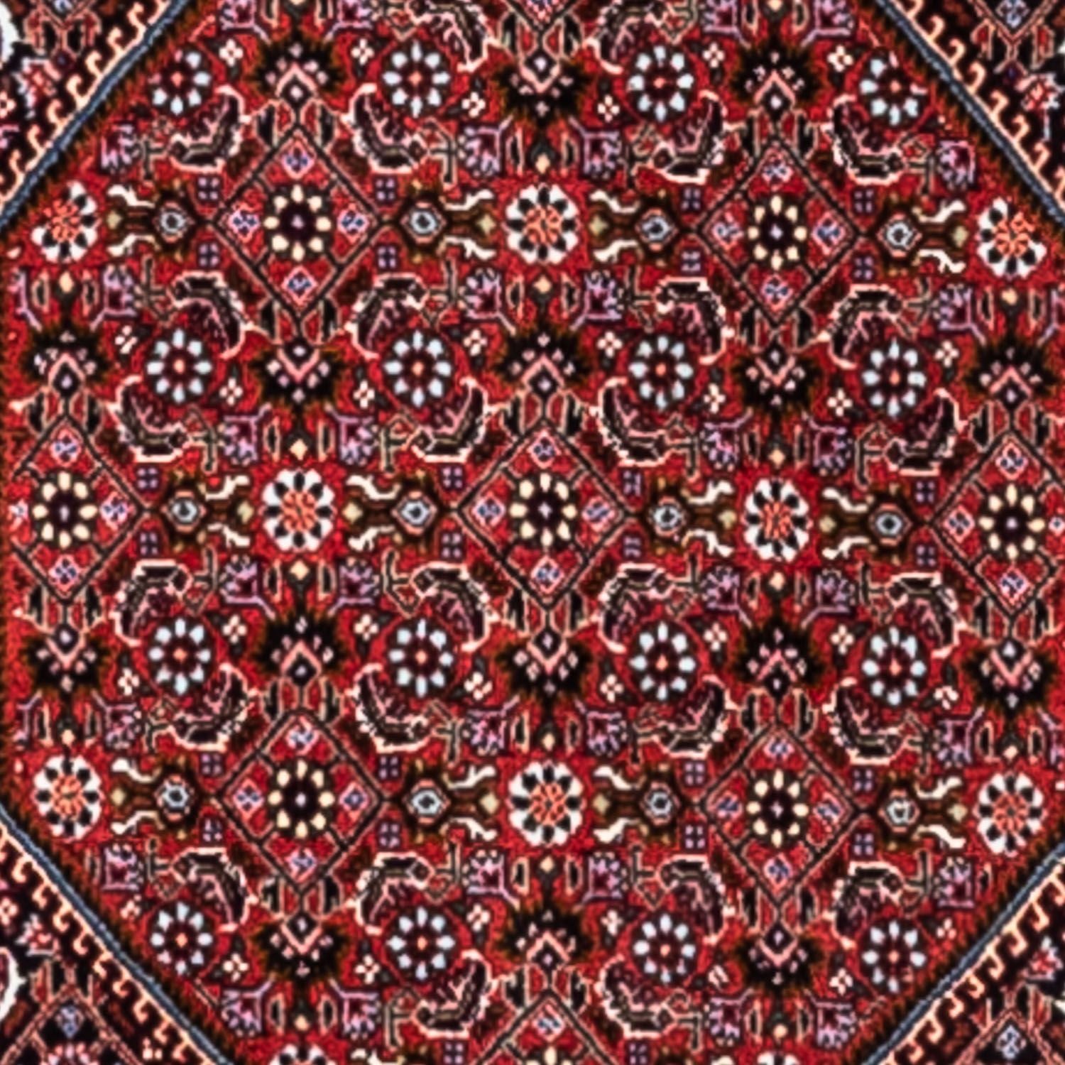 Perserteppich - Bidjar - Royal 318 x 200 cm