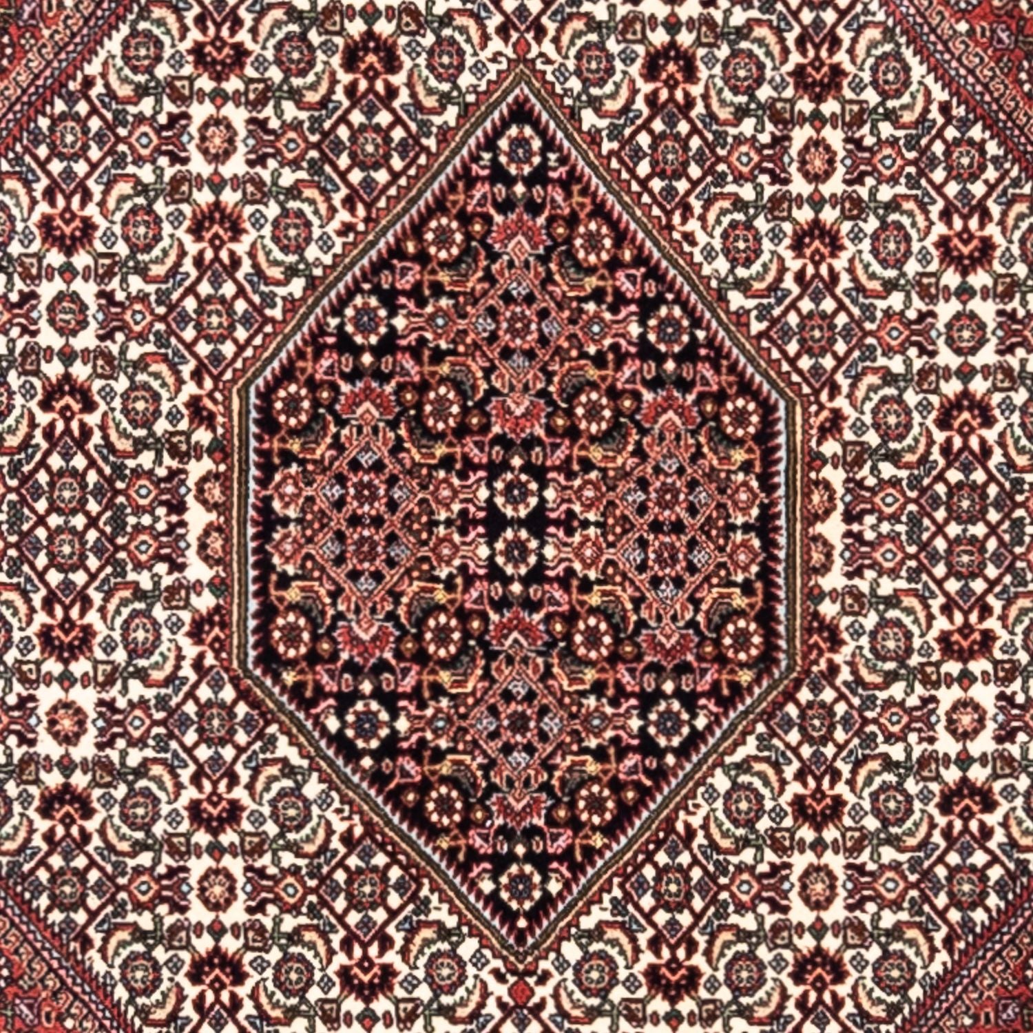 Perserteppich - Bidjar - Royal 295 x 200 cm