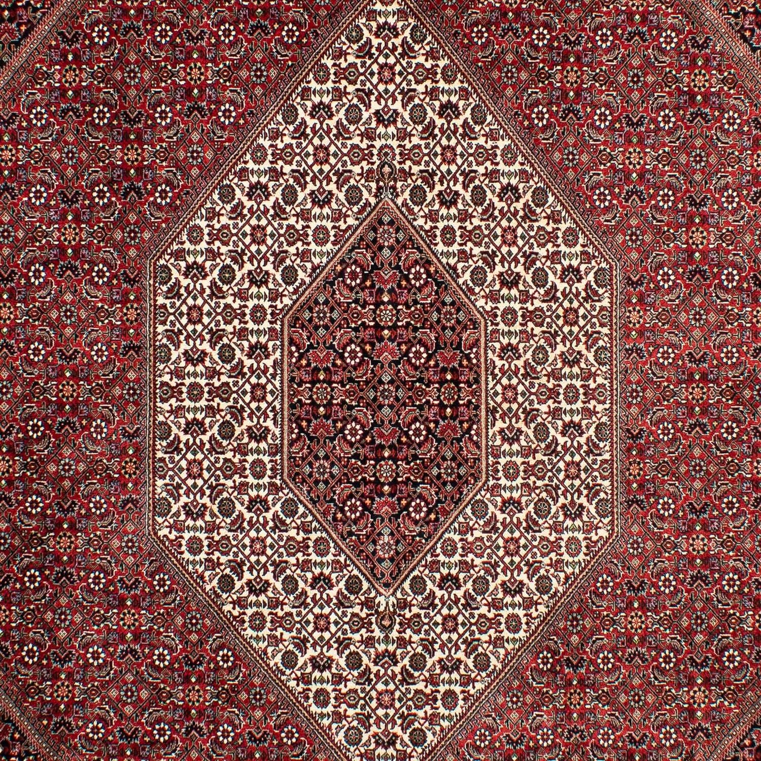 Perserteppich - Bidjar 298 x 200 cm