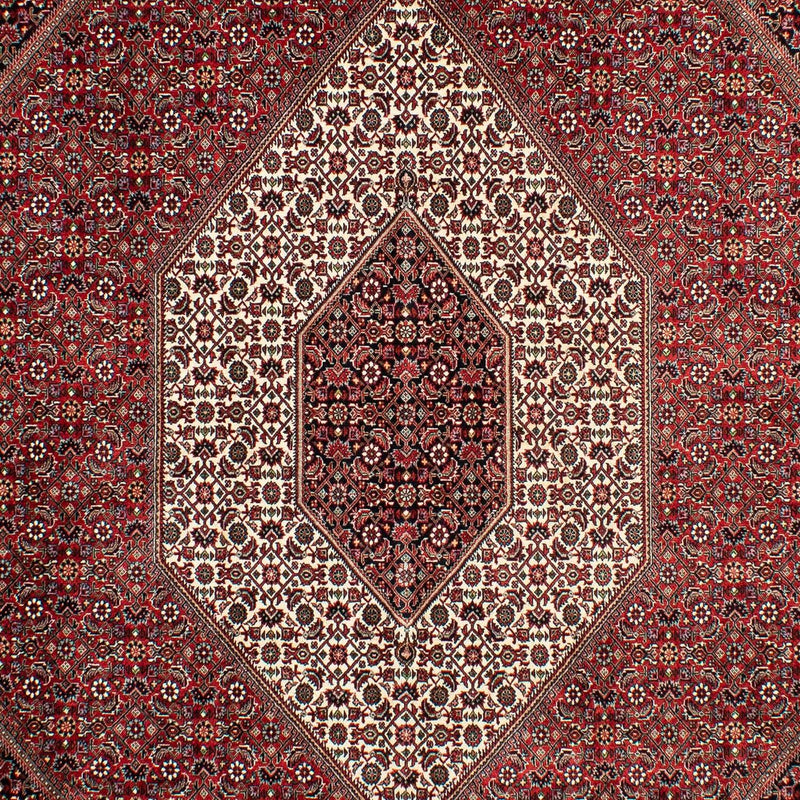 Perserteppich - Bidjar 298 x 200 cm