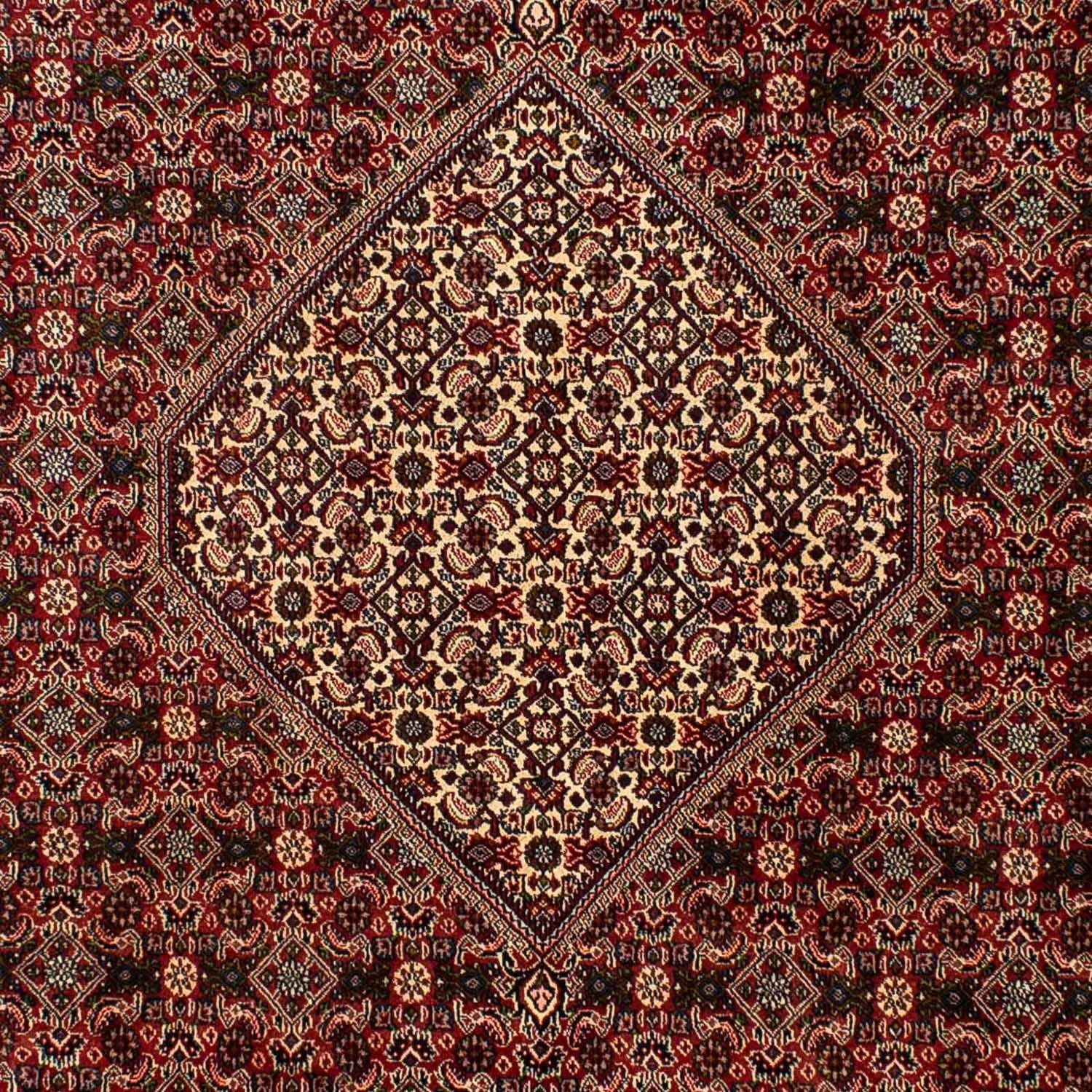 Perserteppich - Bidjar 309 x 197 cm