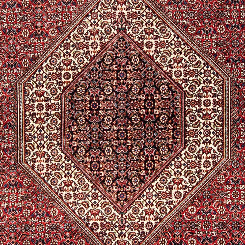 Perserteppich - Bidjar 254 x 171 cm - dunkelrot