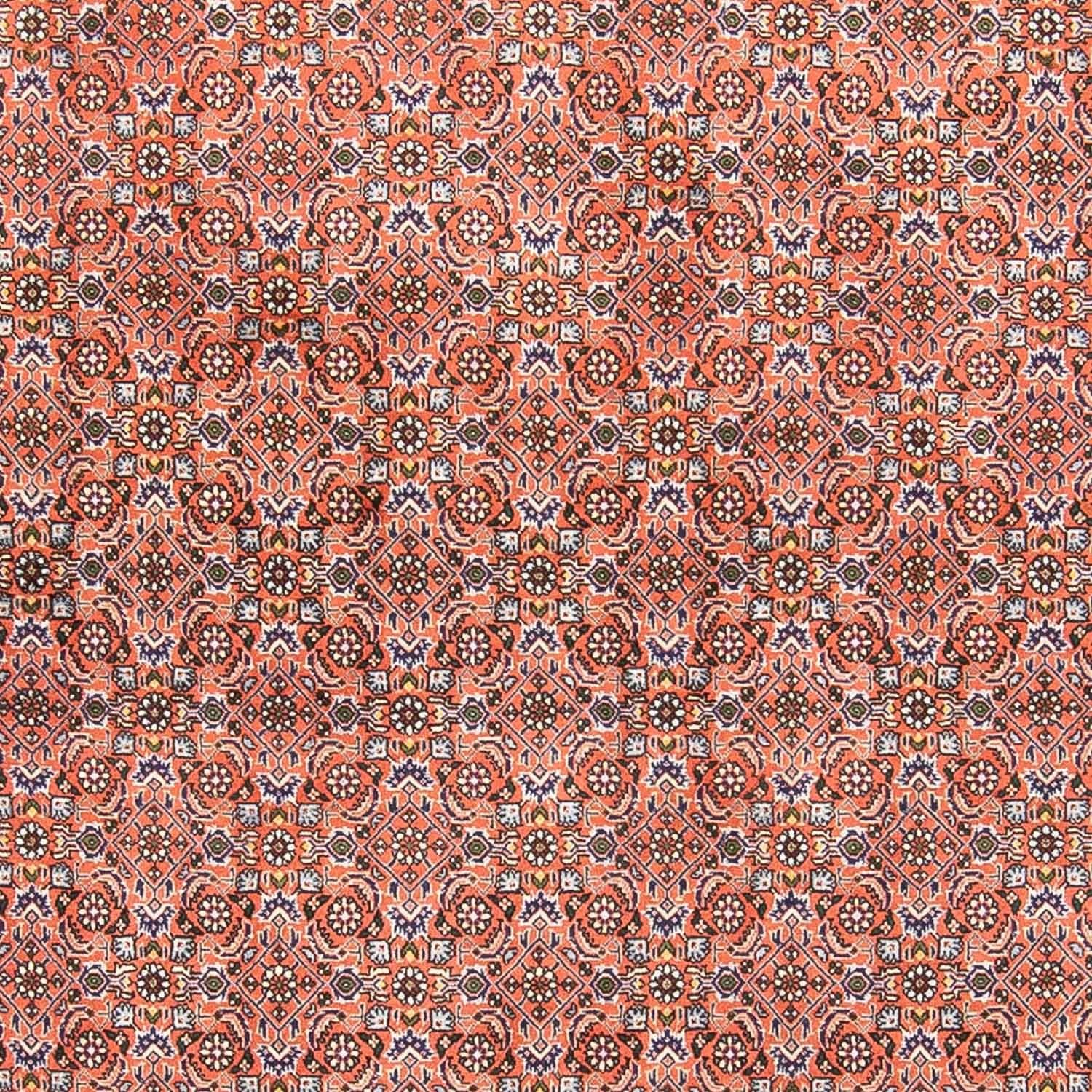 Perserteppich - Bidjar 239 x 168 cm