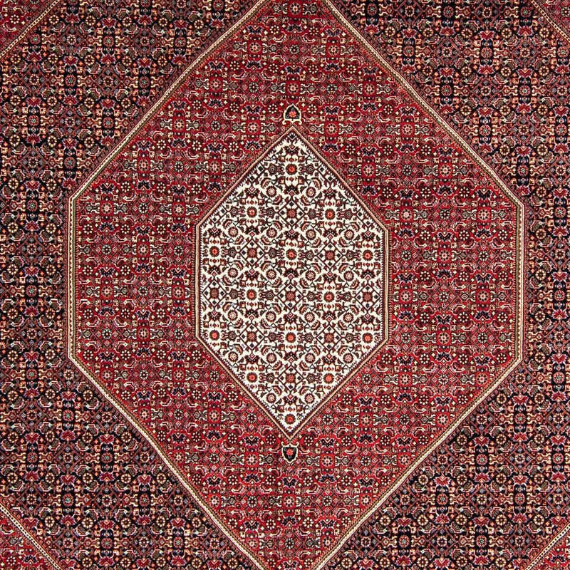 Perserteppich - Bidjar 350 x 252 cm Teppich Wohnzimmer