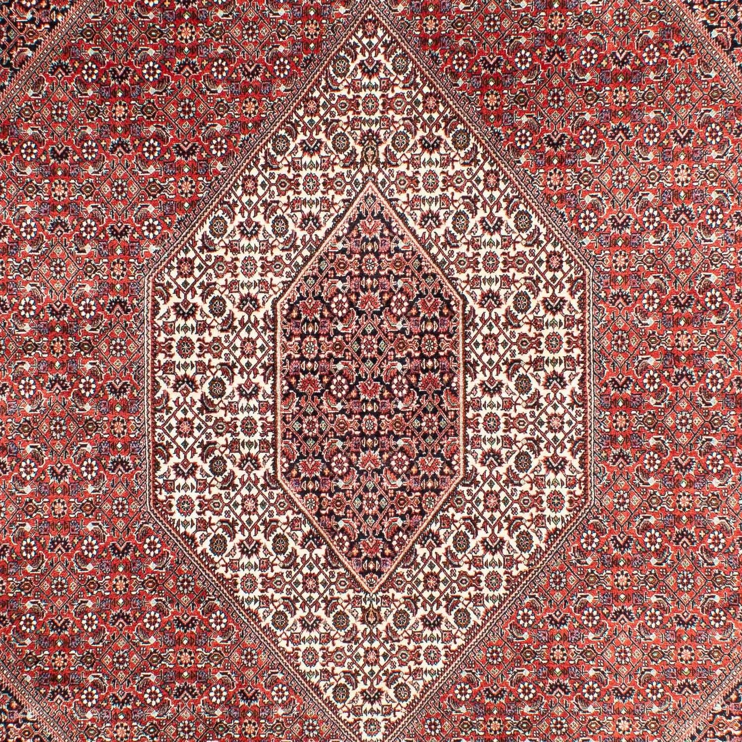 Perserteppich - Bidjar 303 x 203 cm