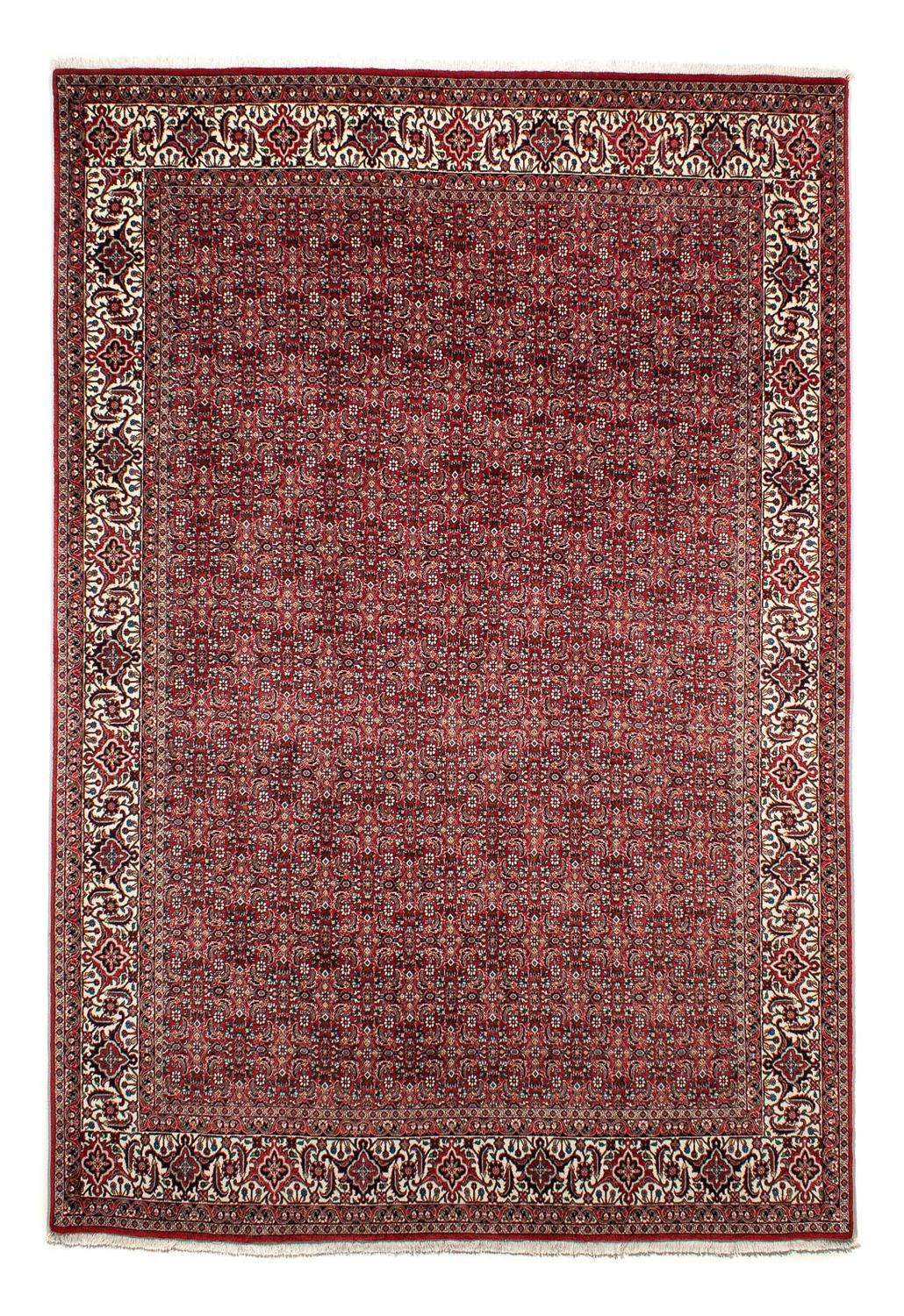 Perserteppich - Bidjar 309 x 209 cm