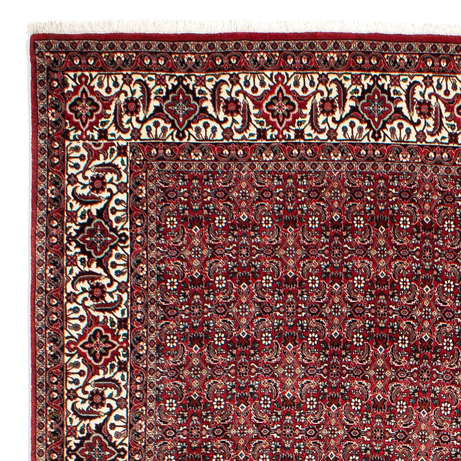 Perserteppich - Bidjar 309 x 209 cm