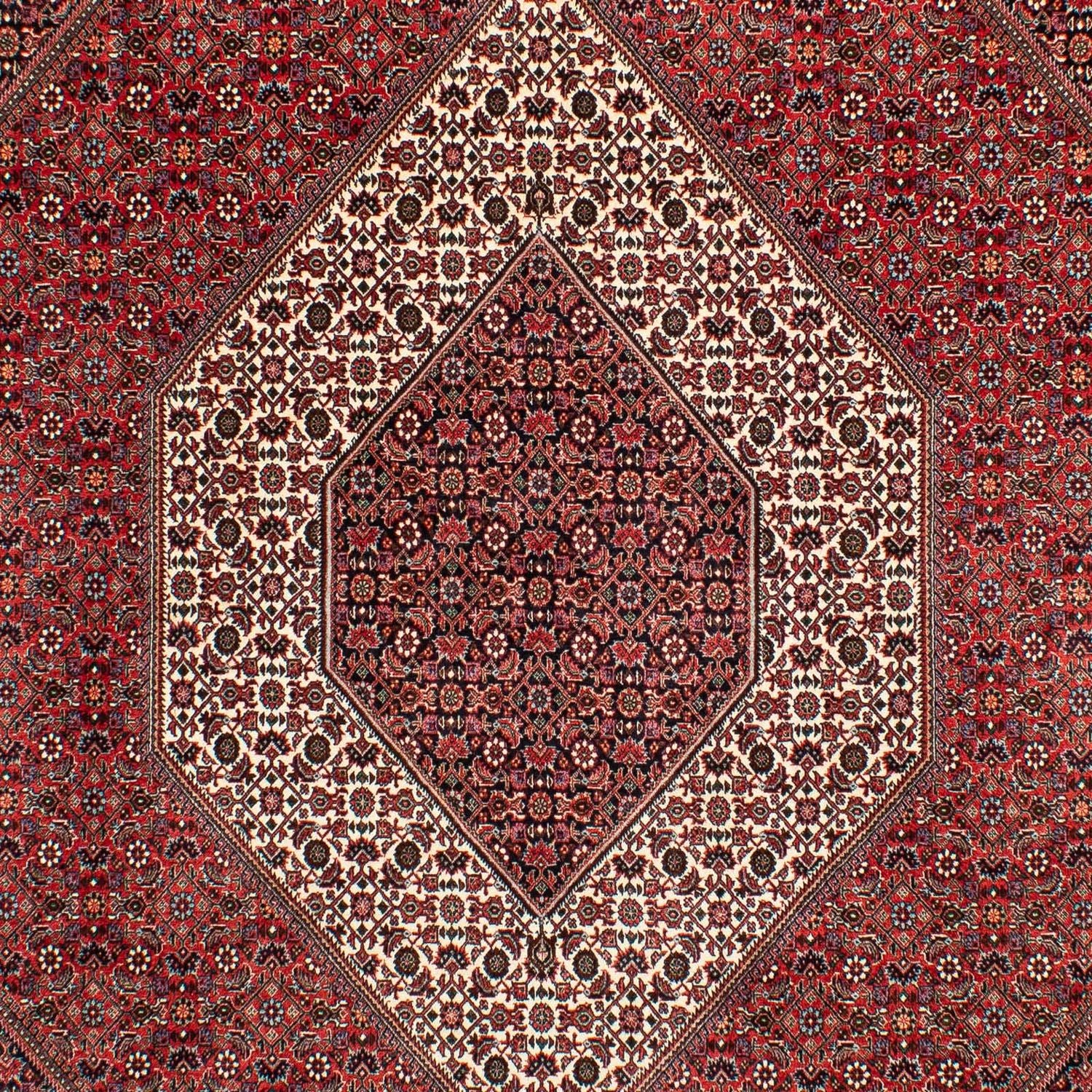 Perserteppich - Bidjar 305 x 203 cm