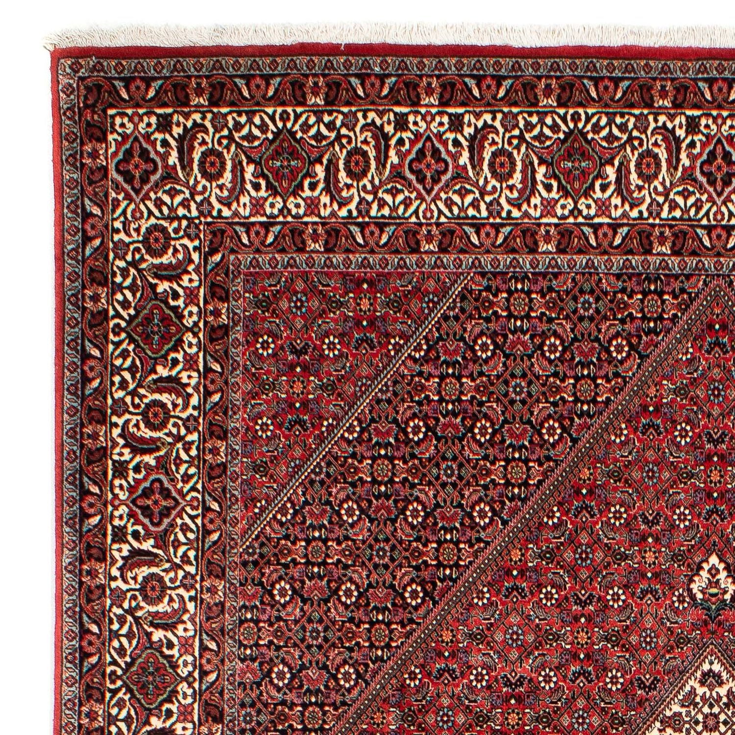 Perserteppich - Bidjar 305 x 203 cm